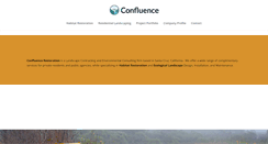 Desktop Screenshot of confluencerestoration.com